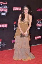 Shraddha Arya at 20th Annual Life OK Screen Awards in Mumbai on 14th Jan 2014 (248)_52d689a071455.JPG