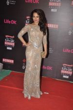 Sonakshi Sinha at 20th Annual Life OK Screen Awards in Mumbai on 14th Jan 2014(443)_52d689f52b3ee.JPG