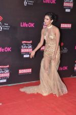 Sonal Chauhan at 20th Annual Life OK Screen Awards in Mumbai on 14th Jan 2014 (87)_52d68a1431baa.JPG