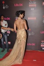 Sonal Chauhan at 20th Annual Life OK Screen Awards in Mumbai on 14th Jan 2014(414)_52d68a169e6ed.JPG