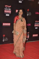 Tannishta Chatterjee at 20th Annual Life OK Screen Awards in Mumbai on 14th Jan 2014(582)_52d68aa61b991.JPG