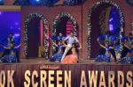 Varun Dhawan at 20th Annual Life OK Screen Awards in Mumbai on 14th Jan 2014(661)_52d68afd2167a.JPG