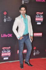 at 20th Annual Life OK Screen Awards in Mumbai on 14th Jan 2014 (186)_52d6836f6ed74.JPG