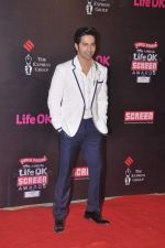 at 20th Annual Life OK Screen Awards in Mumbai on 14th Jan 2014 (195)_52d68370d5f5c.JPG