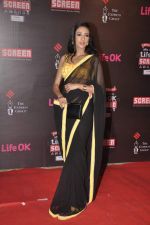 at 20th Annual Life OK Screen Awards in Mumbai on 14th Jan 2014(532)_52d68399a0372.JPG