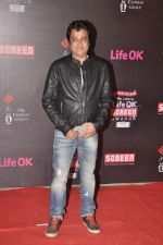 at 20th Annual Life OK Screen Awards in Mumbai on 14th Jan 2014(651)_52d683ae8a83c.JPG