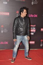 at 20th Annual Life OK Screen Awards in Mumbai on 14th Jan 2014(652)_52d683af1993a.JPG