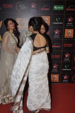  at The Renault Star Guild Awards Ceremony in NSCI, Mumbai on 16th Jan 2014(503)_52d8dbdd11a35.JPG