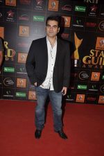 Arbaaz Khan at The Renault Star Guild Awards Ceremony in NSCI, Mumbai on 16th Jan 2014(480)_52d8dc346737e.JPG