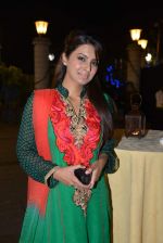 Geeta Basra at Roopa Vohra_s Lohri in Mumbai on 16th Jan 2014 (299)_52d8cd104ab52.JPG