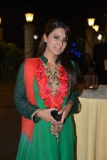 Geeta Basra at Roopa Vohra_s Lohri in Mumbai on 16th Jan 2014 (300)_52d8cd0912520.JPG