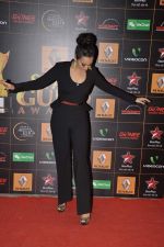 Sonakshi Sinha at The Renault Star Guild Awards Ceremony in NSCI, Mumbai on 16th Jan 2014(241)_52d8e1ca7e888.JPG