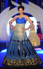 Model walk for Rohhit Verma_s fashion show in North East on 22nd Jan 2014 (6)_52e0bc7962e8e.JPG