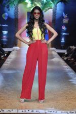  Model at Blenders Pride Bangalore Fashion Week 10th edition Day 1 in Bangalore on 23rd Jan 2014 (26)_52e32674d7ebd.JPG