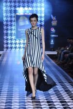  Model at Blenders Pride Bangalore Fashion Week 10th edition Day 1 in Bangalore on 23rd Jan 2014 (41)_52e3267a58bc7.JPG