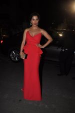 Sophie Chaudhary at Filmfare Awards Red Carpet 2014 on 24th Jan 2014 (112)_52e3a08226027.JPG