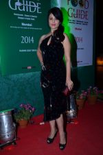 Anjana Sukhani at Times Good Food Awards red carpet in ITC, Parel, Mumbai on 30th Jan 2014 (126)_52eb4a271967c.JPG