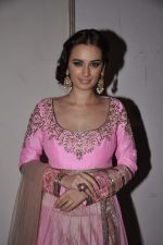 Evelyn Sharma at Manish malhotra show for save n empower the girl child cause by lilavati hospital in Mumbai on 5th Feb 2014(229)_52f3c382a1fb0.JPG