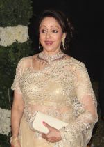 Hema Malini at Ahana Deol_s wedding reception in Delhi on 5th Feb 2014 (13)_52f3d641ee55e.jpg