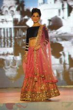 Lucky Morani at Manish malhotra show for save n empower the girl child cause by lilavati hospital in Mumbai on 5th Feb 2014(319)_52f3c4f5708ba.JPG
