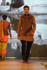 at Manish malhotra show for save n empower the girl child cause by lilavati hospital in Mumbai on 5th Feb 2014(180)_52f3c2d98811d.JPG