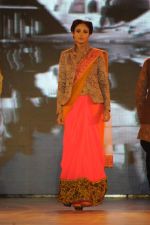 at Manish malhotra show for save n empower the girl child cause by lilavati hospital in Mumbai on 5th Feb 2014(184)_52f3c2da46d26.JPG