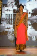 at Manish malhotra show for save n empower the girl child cause by lilavati hospital in Mumbai on 5th Feb 2014(187)_52f3c2db06209.JPG
