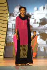 at Manish malhotra show for save n empower the girl child cause by lilavati hospital in Mumbai on 5th Feb 2014(264)_52f3c2f513e17.JPG