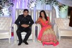 Brinda Parekh and Ajay_s Wedding in Sakinaka, Mumbai on 8th Feb 2014 (110)_52f7780e2d783.JPG