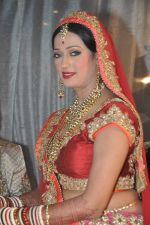 Brinda Parekh and Ajay_s Wedding in Sakinaka, Mumbai on 8th Feb 2014 (37)_52f777e5e3a3b.JPG