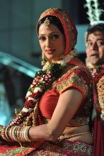 Brinda Parekh and Ajay_s Wedding in Sakinaka, Mumbai on 8th Feb 2014 (92)_52f77805cbee7.JPG