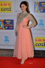 Elli Avram at Zee Awards red carpet in Filmcity, Mumbai on 8th Feb 2014 (253)_52f77b935c9b7.JPG