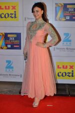 Elli Avram at Zee Awards red carpet in Filmcity, Mumbai on 8th Feb 2014 (254)_52f77b93bda89.JPG