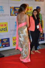 Priyanka Chopra at Zee Awards red carpet in Filmcity, Mumbai on 8th Feb 2014 (297)_52f77cd33ea68.JPG