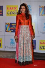Sonali Bendre at Zee Awards red carpet in Filmcity, Mumbai on 8th Feb 2014 (162)_52f77de3d77be.JPG