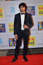 Vidyut Jamwal at Zee Awards red carpet in Filmcity, Mumbai on 8th Feb 2014 (16)_52f77e725d85c.JPG