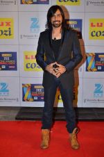 at Zee Awards red carpet in Filmcity, Mumbai on 8th Feb 2014 (223)_52f77a6783139.JPG