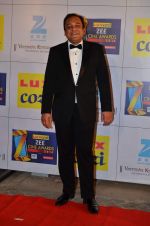 at Zee Awards red carpet in Filmcity, Mumbai on 8th Feb 2014 (334)_52f77a6a0869a.JPG
