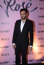 Abhay Deol at rose moet launch live feed from the event in Mumbai on 13th Feb 2014(115)_52fdf7d09e164.JPG