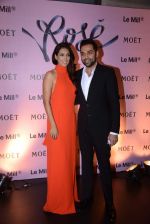 Abhay Deol, Preeti Desai at rose moet launch live feed from the event in Mumbai on 13th Feb 2014(103)_52fdf7fc612a7.JPG