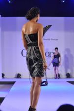 Model walks for Rachana Sansad fashion show in Dadar, Mumbai on 13th Feb 2014 (123)_52fdf8a02d1c8.JPG