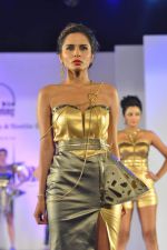 Model walks for Rachana Sansad fashion show in Dadar, Mumbai on 13th Feb 2014 (131)_52fdf8a651cb1.JPG