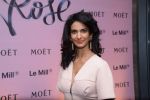 Poorna Jagannathan at rose moet launch live feed from the event in Mumbai on 13th Feb 2014(152)_52fdf81a3ccee.JPG