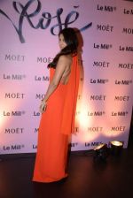 Preeti Desai  at rose moet launch live feed from the event in Mumbai on 13th Feb 2014 (8)_52fdb95423dc4.jpg