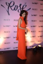 Preeti Desai at rose moet launch live feed from the event in Mumbai on 13th Feb 2014(115)_52fdf8019696c.JPG