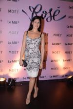 at rose moet launch live feed from the event in Mumbai on 13th Feb 2014(124)_52fdf848b93f7.JPG