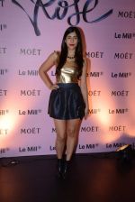 at rose moet launch live feed from the event in Mumbai on 13th Feb 2014(131)_52fdf84ba336d.JPG