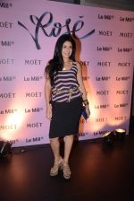 at rose moet launch live feed from the event in Mumbai on 13th Feb 2014(59)_52fdf841172dd.JPG