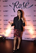 at rose moet launch live feed from the event in Mumbai on 13th Feb 2014(69)_52fdf844e407c.JPG