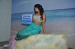 Richa Chadda at Peta shoot as a mermaid in Mehboob, Mumbai on 14th Feb 2014 (10)_52fed9d76a924.JPG